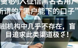 黑户能下的口子有哪些？2026必下款不看征信的口子在哪里