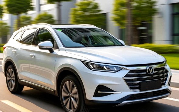 用车借款的口子在哪里申请，征信不好能过吗？