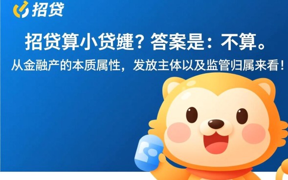 e招贷算小贷吗？是网贷还是银行正规贷款？