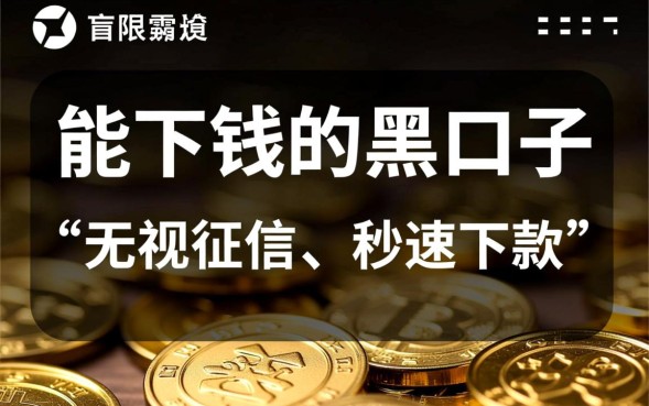 能下钱的黑口子是真的吗，2026年必下款的黑口子有哪些