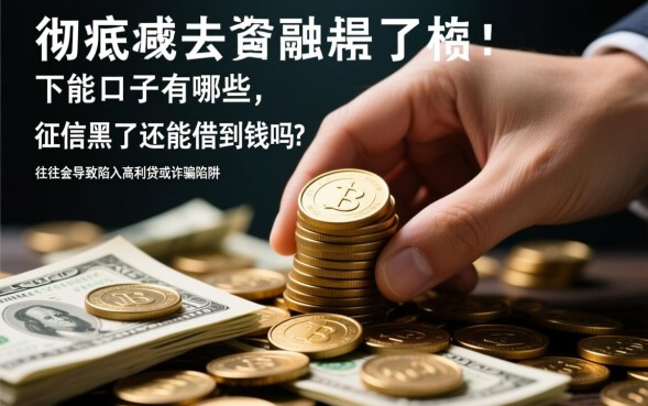 黑了能下的口子有哪些，征信黑了还能借到钱吗