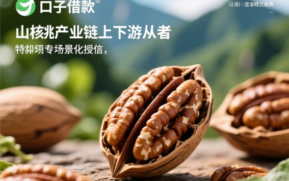 山核桃口子借款是真的吗，山核桃口子借款怎么申请？