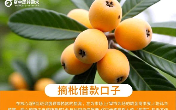 摘枇杷借款口子靠谱吗，正规借款口子怎么申请