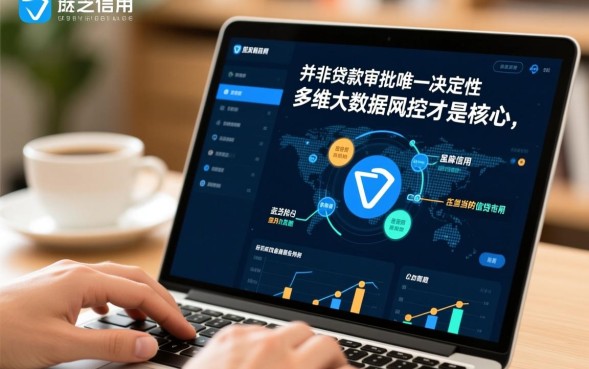 口子无视芝麻分有哪些？2026最新不看征信的口子推荐