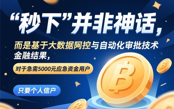秒下5千的网贷怎么申请，急用钱哪里能借5000元