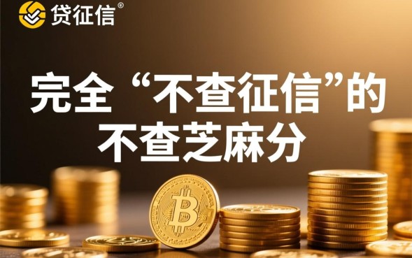 不查芝麻分的黑户贷款哪里有？2026不用征信秒下款？