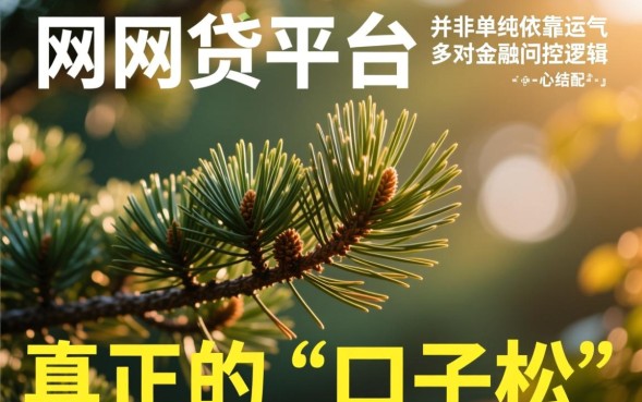 口子松的网贷平台有哪些，2026容易下款的口子推荐