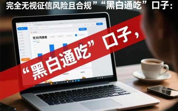 什么口子黑白通吃，2026最新无视征信贷款口子有哪些？