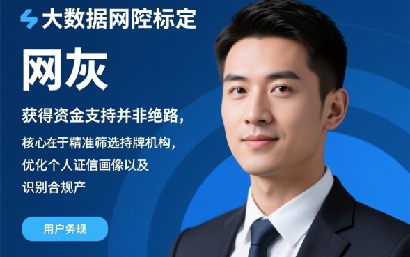 网灰能下款的口子有哪些，2026容易通过的借钱口子