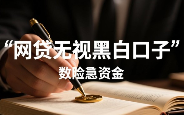 网贷无视黑白口子有哪些，2026不用审核怎么下款
