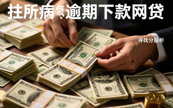 逾期下款的网贷有哪些，有逾期记录能下款吗