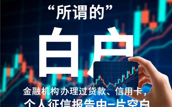 白户必下款的网贷是真的吗，白户怎么申请容易过？