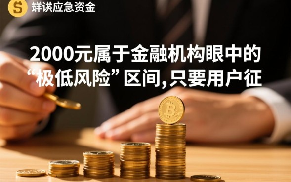 两千块必下的口子有哪些？2000元容易下款的网贷在哪里？