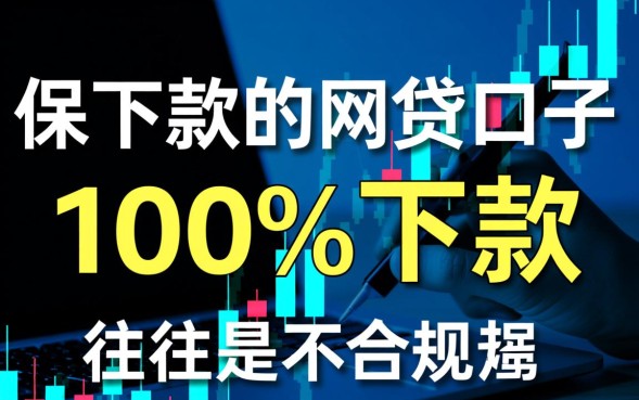 保下款的网贷口子有哪些，2026最新不用审核的口子