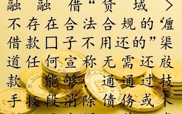 借款口子不用还的是真的吗，2026不用还的借款口子有哪些