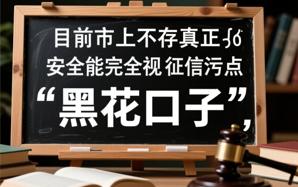 有黑花口子借款吗，2026黑花必下款口子有哪些
