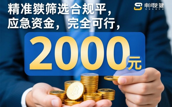 黑花口子2000怎么借，黑户能申请下款吗？