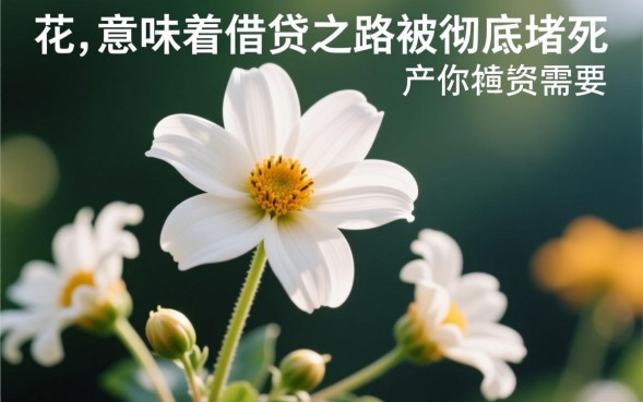 征信花了怎么借钱，哪里还有不看征信的口子？