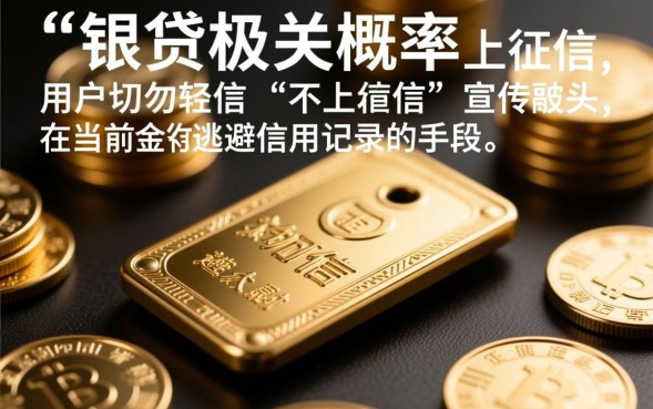 铂银贷不上征信吗，铂银贷借款到底上不上征信