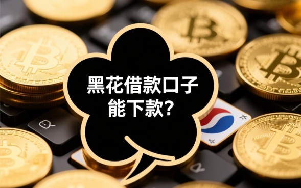 黑花了借款口子能下款吗，2026最新借款口子有哪些