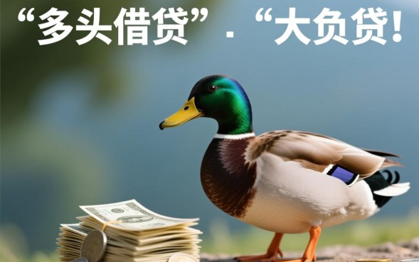 花鸭借钱看负债吗，花鸭借款负债高能下款吗？