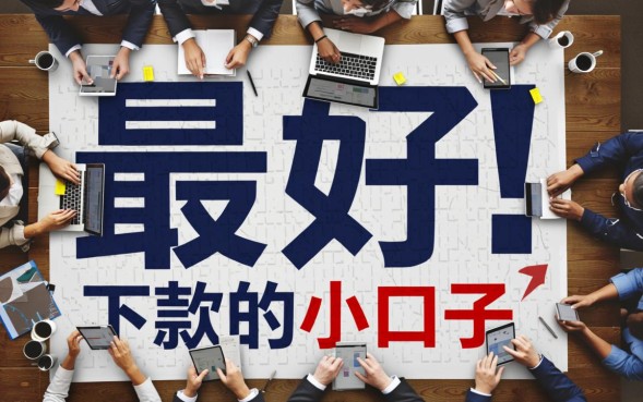 2026最好下款的小口子是哪个？急需用钱怎么秒批？