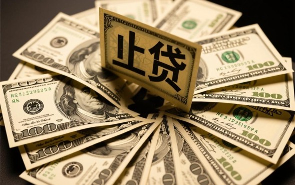 网贷还不起了怎么办，怎么跟平台协商停息挂账