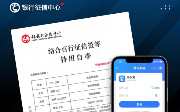 如何查询网贷，个人网贷大数据查询平台有哪些