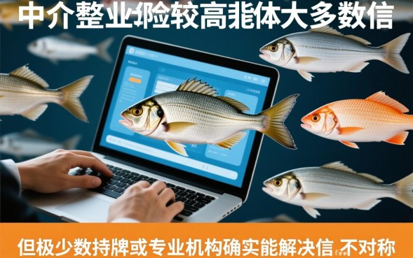 网贷中介靠谱吗，找贷款中介办理贷款安全吗