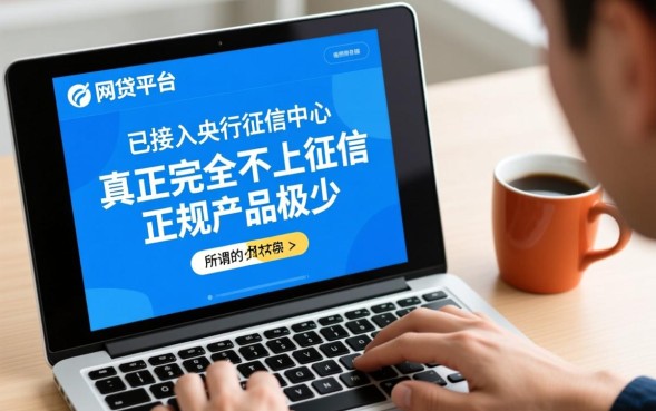 网贷哪些不上征信，2026年正规网贷不上征信有哪些