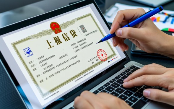 什么网贷上征信，2026年哪些网贷上征信