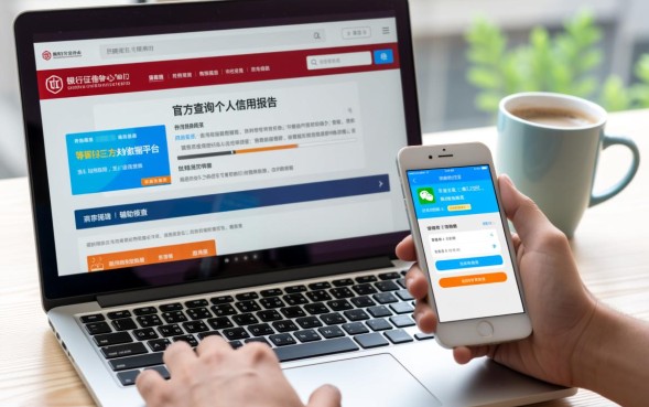 网贷申请记录怎么查询，个人征信报告在哪里看？