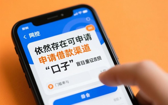 网贷被风控还有口子吗，2026必下款口子在哪里申请？