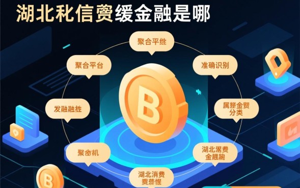 湖北消费金融是哪个网贷，湖北消费金融属于什么平台