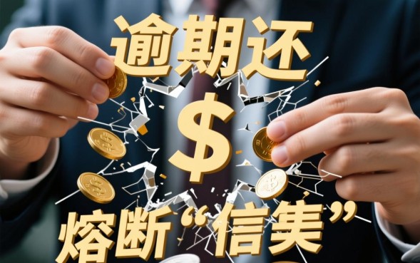 网贷不还会有什么影响，真的会被起诉坐牢吗？