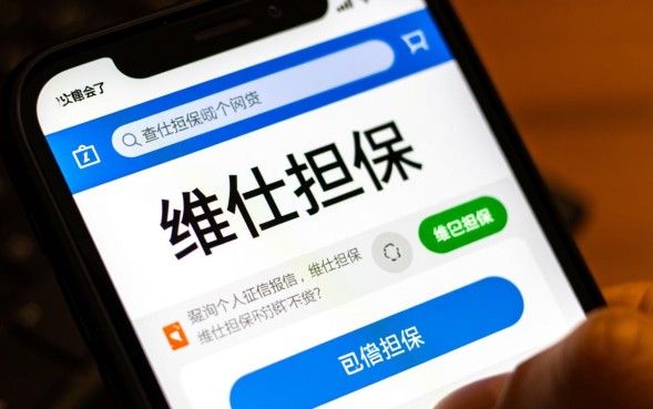 维仕担保是哪个网贷，维仕担保和维信金科什么关系