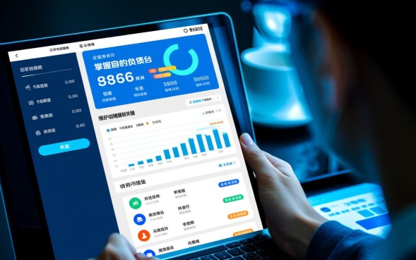 网贷怎么查询所有欠款，怎么查自己名下有几笔？