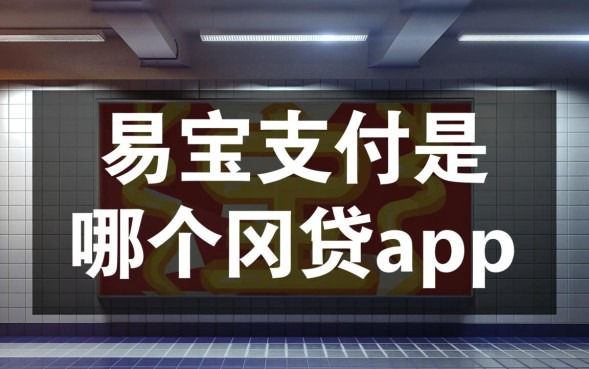 易宝支付是哪个网贷app，易宝支付怎么查是哪个平台