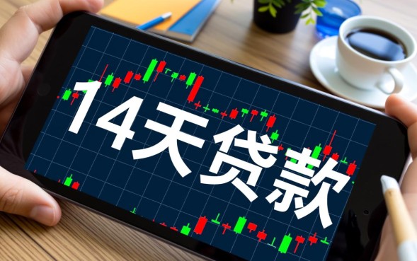 14天贷款怎么申请，14天无抵押贷款哪里借最快下款