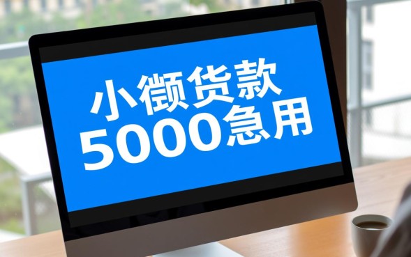 小额贷款5000急用怎么申请？哪个平台秒批？