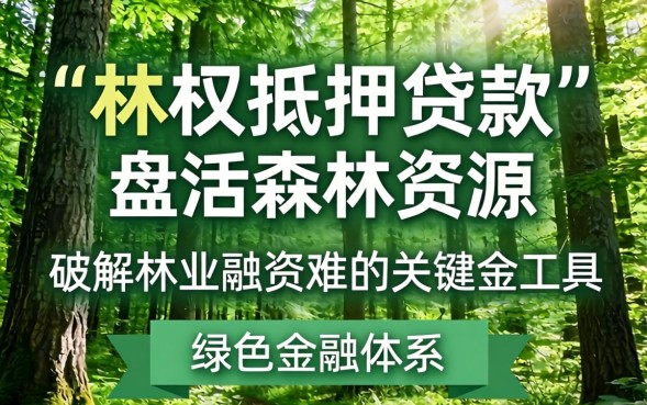 林权抵押贷款风险有哪些，林权抵押贷款风险怎么防范