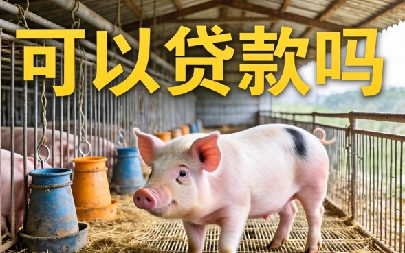 养猪可以贷款吗，养猪贷款需要什么条件最全攻略