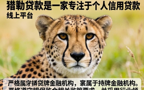猎豹贷款怎么样，猎豹贷款靠谱吗