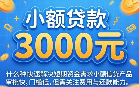 小额贷款3000元好批吗，2026年小额贷款3000怎么申请更容易通过