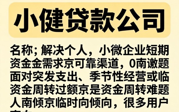 南京小额贷款公司有哪些？南京正规小额贷款公司排名