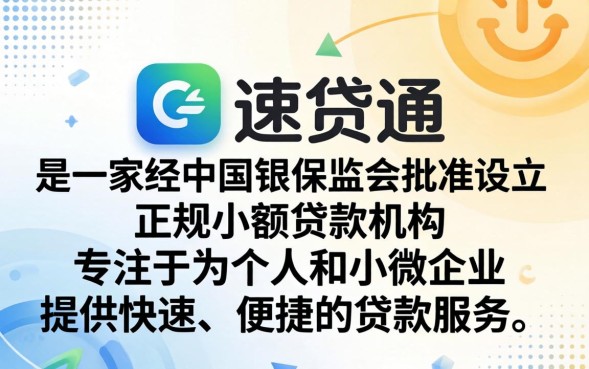 正规小额贷款机构哪个好？正规小额贷款公司排名